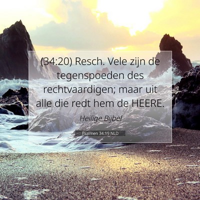 Picture 07 - Psalmen 34:19 NLD - (34:20) Resch. Vele zijn de tegenspoeden des - Bible Verse Picture