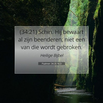 Picture 07 - Psalmen 34:20 NLD - (34:21) Schin. Hij bewaart al zijn beenderen; - Bible Verse Picture