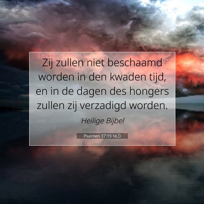 Picture 07 - Psalmen 37:19 NLD - Zij zullen niet beschaamd worden in den kwaden - Bible Verse Picture