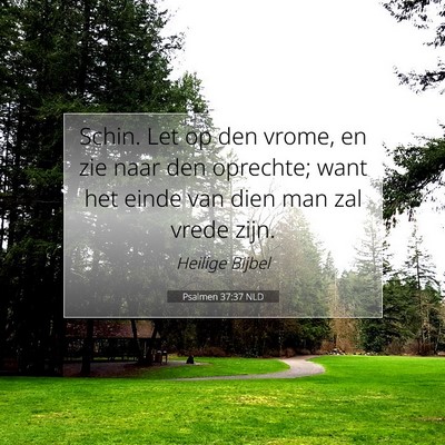 Picture 07 - Psalmen 37:37 NLD - Schin. Let op den vrome, en zie naar den - Bible Verse Picture