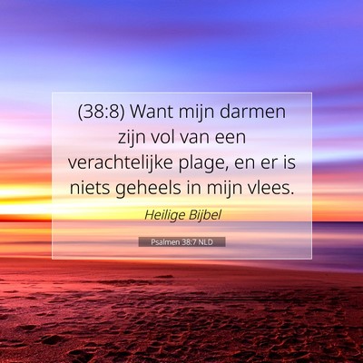 Picture 07 - Psalmen 38:7 NLD - (38:8) Want mijn darmen zijn vol van een - Bible Verse Picture