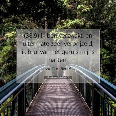 Picture 07 - Psalmen 38:8 NLD - (38:9) Ik ben verzwakt, en uitermate zeer - Bible Verse Picture