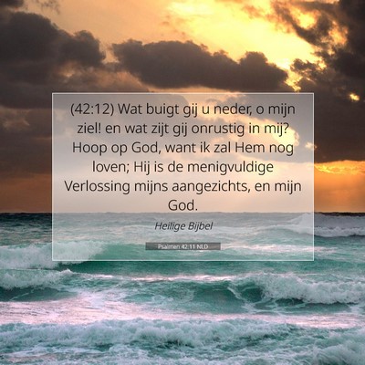 Picture 07 - Psalmen 42:11 NLD - (42:12) Wat buigt gij u neder, o mijn ziel! en - Bible Verse Picture