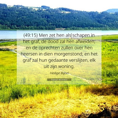 Picture 07 - Psalmen 49:14 NLD - (49:15) Men zet hen als schapen in het graf, de - Bible Verse Picture