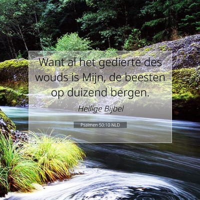Picture 07 - Psalmen 50:10 NLD - Want al het gedierte des wouds is Mijn, de - Bible Verse Picture
