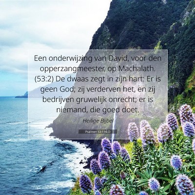 Picture 07 - Psalmen 53:1 NLD - Een onderwijzing van David, voor den - Bible Verse Picture