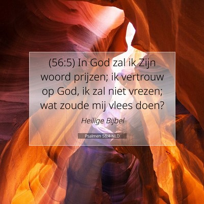 Picture 07 - Psalmen 56:4 NLD - (56:5) In God zal ik Zijn woord prijzen; ik - Bible Verse Picture