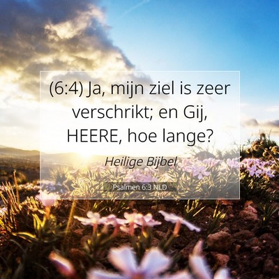 Picture 07 - Psalmen 6:3 NLD - (6:4) Ja, mijn ziel is zeer verschrikt; en Gij, - Bible Verse Picture
