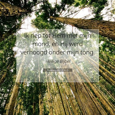 Picture 07 - Psalmen 66:17 NLD - Ik riep tot Hem met mijn mond, en Hij werd - Bible Verse Picture