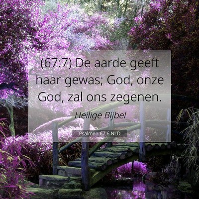 Picture 07 - Psalmen 67:6 NLD - (67:7) De aarde geeft haar gewas; God, onze God, - Bible Verse Picture