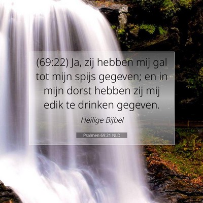 Picture 07 - Psalmen 69:21 NLD - (69:22) Ja, zij hebben mij gal tot mijn spijs - Bible Verse Picture