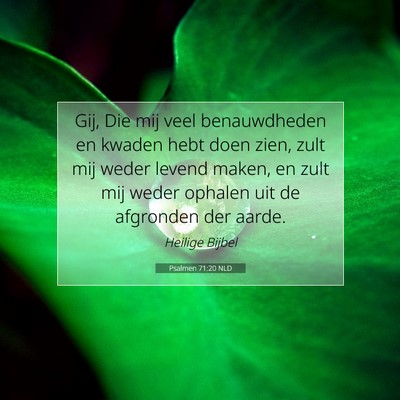 Picture 07 - Psalmen 71:20 NLD - Gij, Die mij veel benauwdheden en kwaden hebt - Bible Verse Picture
