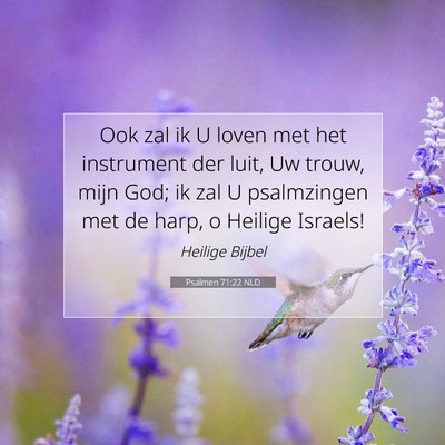 Picture 07 - Psalmen 71:22 NLD - Ook zal ik U loven met het instrument der luit, - Bible Verse Picture