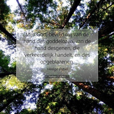 Picture 07 - Psalmen 71:4 NLD - Mijn God, bevrijd mij van de hand des goddelozen, - Bible Verse Picture