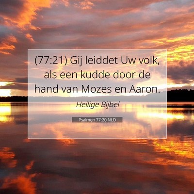 Picture 07 - Psalmen 77:20 NLD - (77:21) Gij leiddet Uw volk, als een kudde door - Bible Verse Picture