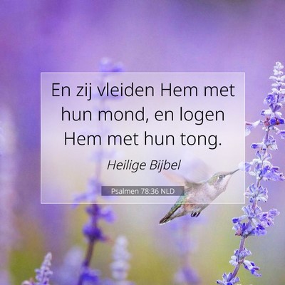 Picture 07 - Psalmen 78:36 NLD - En zij vleiden Hem met hun mond, en logen Hem met - Bible Verse Picture
