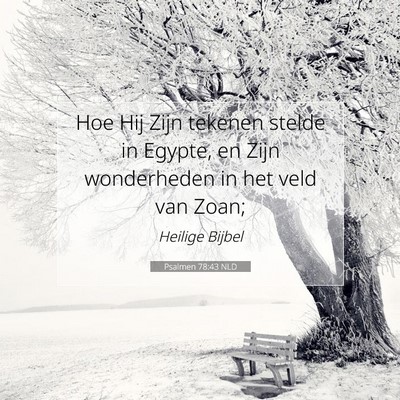 Picture 07 - Psalmen 78:43 NLD - Hoe Hij Zijn tekenen stelde in Egypte, en Zijn - Bible Verse Picture