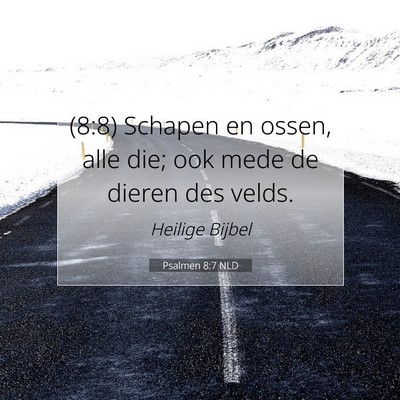 Picture 07 - Psalmen 8:7 NLD - (8:8) Schapen en ossen, alle die; ook mede de - Bible Verse Picture