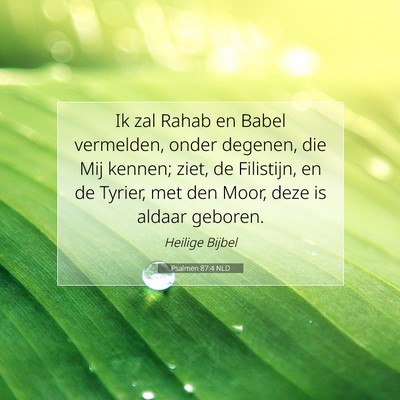 Picture 07 - Psalmen 87:4 NLD - Ik zal Rahab en Babel vermelden, onder degenen, - Bible Verse Picture