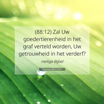 Picture 07 - Psalmen 88:11 NLD - (88:12) Zal Uw goedertierenheid in het graf - Bible Verse Picture