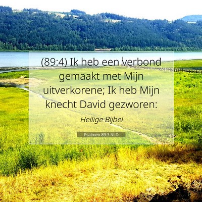 Picture 07 - Psalmen 89:3 NLD - (89:4) Ik heb een verbond gemaakt met Mijn - Bible Verse Picture