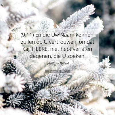 Picture 07 - Psalmen 9:10 NLD - (9:11) En die Uw Naam kennen, zullen op U - Bible Verse Picture
