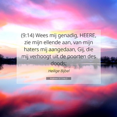Picture 07 - Psalmen 9:13 NLD - (9:14) Wees mij genadig, HEERE, zie mijn ellende - Bible Verse Picture