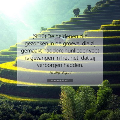 Picture 07 - Psalmen 9:15 NLD - (9:16) De heidenen zijn gezonken in de groeve, - Bible Verse Picture