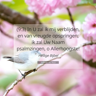 Picture 07 - Psalmen 9:2 NLD - (9:3) In U zal ik mij verblijden, en van vreugde - Bible Verse Picture