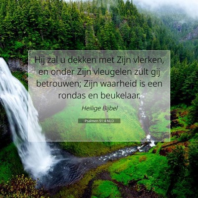 Picture 07 - Psalmen 91:4 NLD - Hij zal u dekken met Zijn vlerken, en onder Zijn - Bible Verse Picture