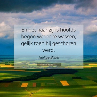 Picture 07 - Richtere 16:22 NLD - En het haar zijns hoofds begon weder te wassen, - Bible Verse Picture