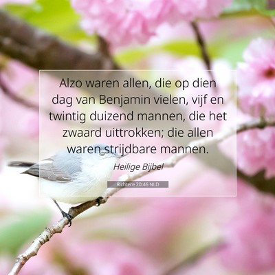 Picture 07 - Richtere 20:46 NLD - Alzo waren allen, die op dien dag van Benjamin - Bible Verse Picture