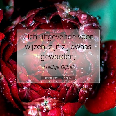 Picture 07 - Romeinen 1:22 NLD - Zich uitgevende voor wijzen, zijn zij dwaas - Bible Verse Picture