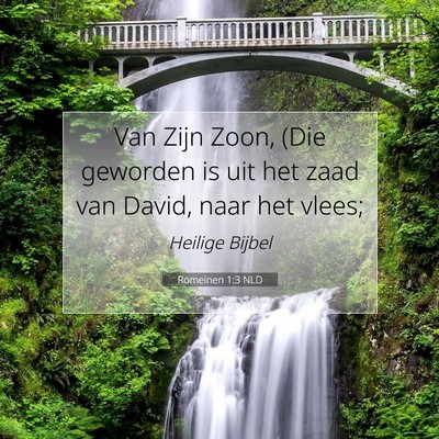 Picture 07 - Romeinen 1:3 NLD - Van Zijn Zoon, (Die geworden is uit het zaad van - Bible Verse Picture