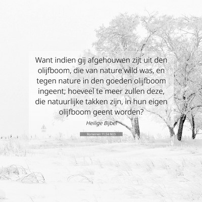 Picture 07 - Romeinen 11:24 NLD - Want indien gij afgehouwen zijt uit den - Bible Verse Picture