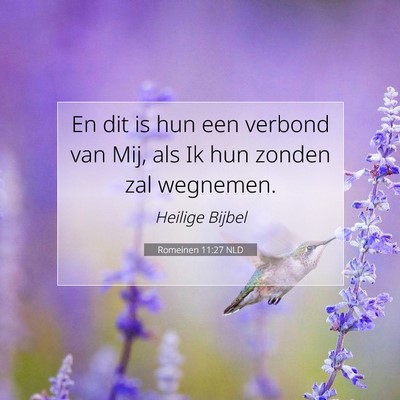 Picture 07 - Romeinen 11:27 NLD - En dit is hun een verbond van Mij, als Ik hun - Bible Verse Picture