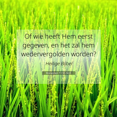 Picture 07 - Romeinen 11:35 NLD - Of wie heeft Hem eerst gegeven, en het zal hem - Bible Verse Picture