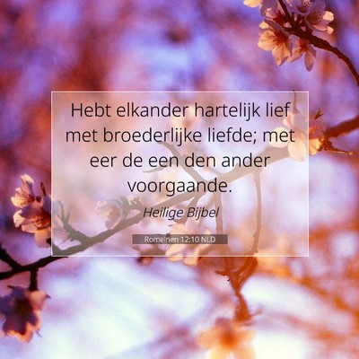Picture 07 - Romeinen 12:10 NLD - Hebt elkander hartelijk lief met broederlijke - Bible Verse Picture