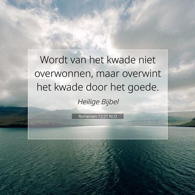Picture 07 - Romeinen 12:21 NLD - Wordt van het kwade niet overwonnen, maar - Bible Verse Picture