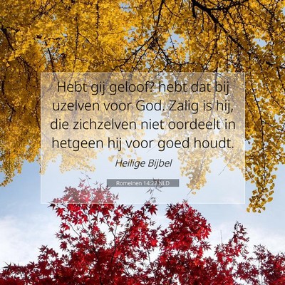Picture 07 - Romeinen 14:22 NLD - Hebt gij geloof? hebt dat bij uzelven voor God. - Bible Verse Picture