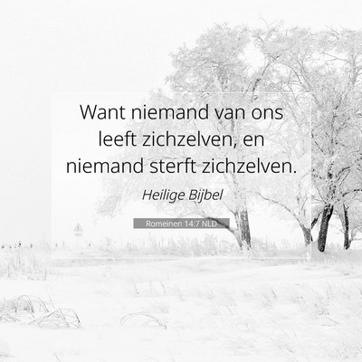 Picture 07 - Romeinen 14:7 NLD - Want niemand van ons leeft zichzelven, en niemand - Bible Verse Picture