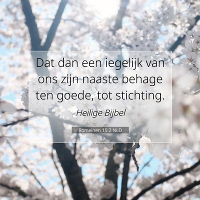 Picture 07 - Romeinen 15:2 NLD - Dat dan een iegelijk van ons zijn naaste behage - Bible Verse Picture