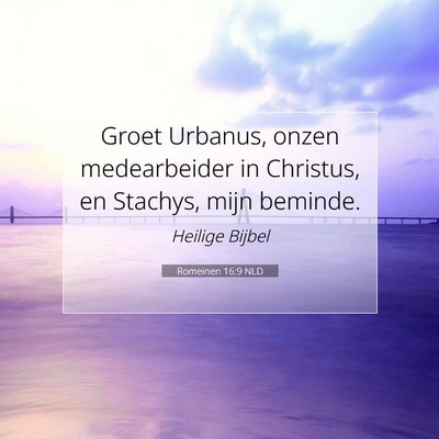 Picture 07 - Romeinen 16:9 NLD - Groet Urbanus, onzen medearbeider in Christus, en - Bible Verse Picture