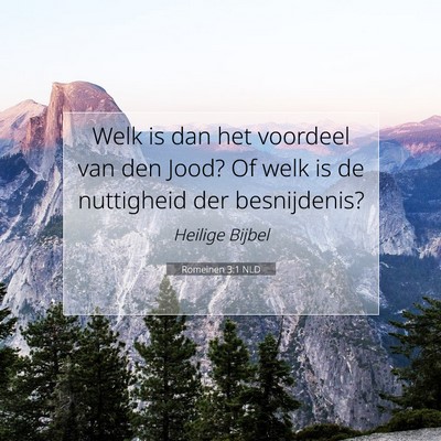 Picture 07 - Romeinen 3:1 NLD - Welk is dan het voordeel van den Jood? Of welk is - Bible Verse Picture