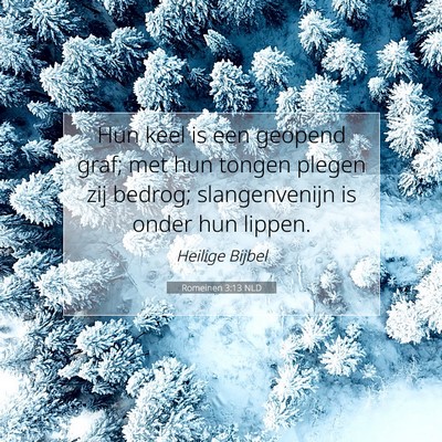 Picture 07 - Romeinen 3:13 NLD - Hun keel is een geopend graf; met hun tongen - Bible Verse Picture