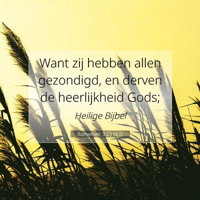 Picture 07 - Romeinen 3:23 NLD - Want zij hebben allen gezondigd, en derven de - Bible Verse Picture