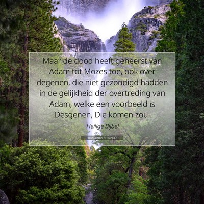 Picture 07 - Romeinen 5:14 NLD - Maar de dood heeft geheerst van Adam tot Mozes - Bible Verse Picture