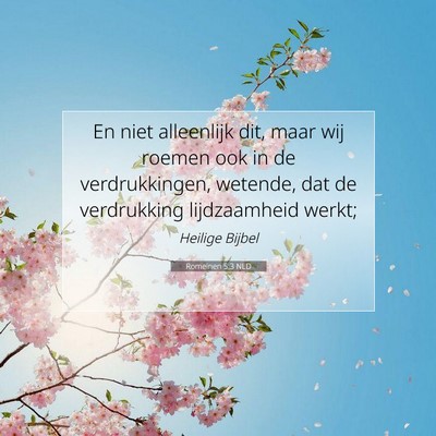 Picture 07 - Romeinen 5:3 NLD - En niet alleenlijk dit, maar wij roemen ook in de - Bible Verse Picture