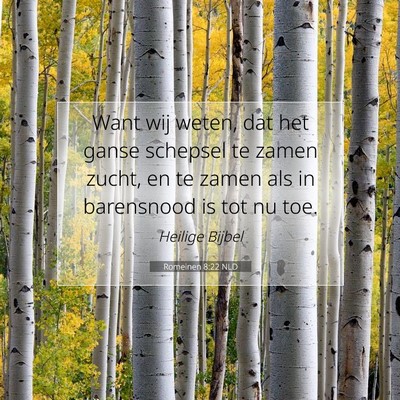 Picture 07 - Romeinen 8:22 NLD - Want wij weten, dat het ganse schepsel te zamen - Bible Verse Picture