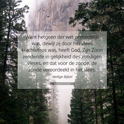 Picture 07 - Romeinen 8:3 NLD - Want hetgeen der wet onmogelijk was, dewijl zij - Bible Verse Picture